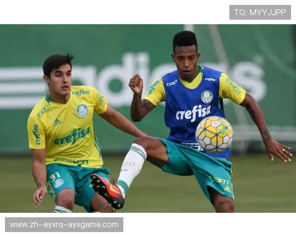 巴西甲足球联赛直播平台推荐 实时赛事观看